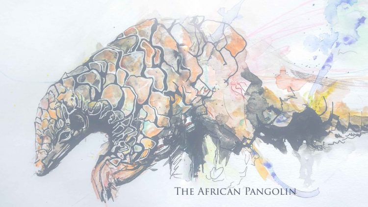 pangolin-white-1-1080×675