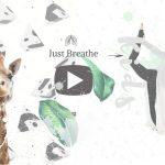 video-content-1080×675