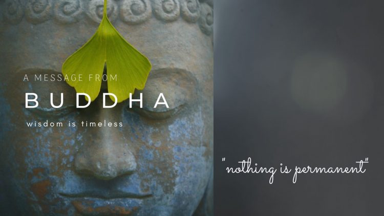 Buddha Grey