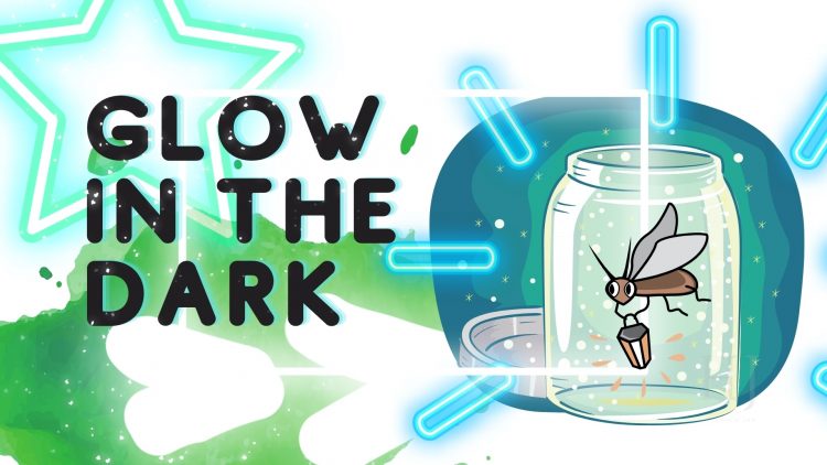 2021-Glow-in-the-Dark-1-Firefly-.jpg