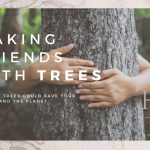2022-Making-friends-with-trees.jpg