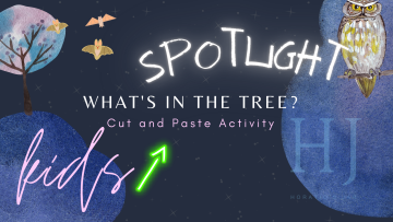2022-Spotlight-Banner.png