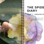 The-Spider-Diary-Banner-V2.png