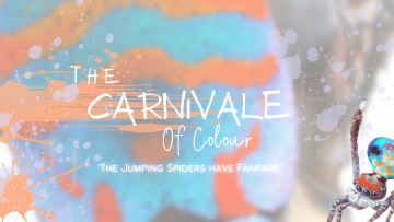 The-Carnivale-of-Colour.png