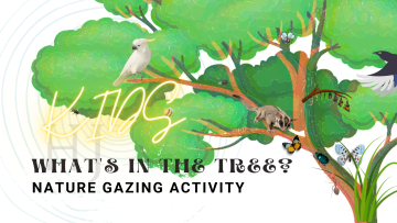 2022-Kids-Nature-gazing.-png-1.png