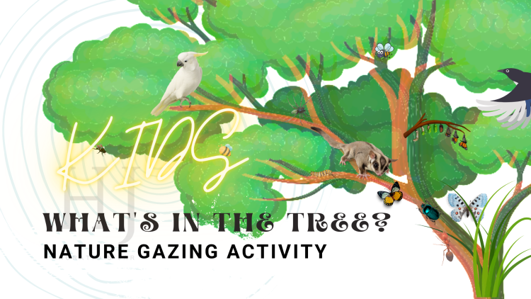 2022-Kids-Nature-gazing.-png-1.png