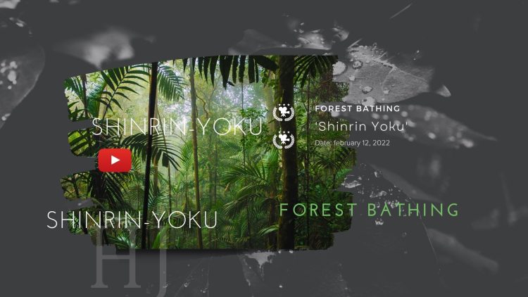 2022-Shinrin-Yoku-1.jpg