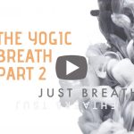 The-Yogic-Breath-school-web-1080×675.jpg