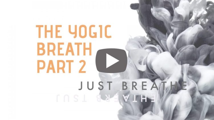 The-Yogic-Breath-school-web-1080×675.jpg