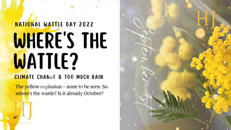 Wheres-The-Wattle-Banner-1.png
