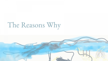 the-reasons-why-main-banner-1080×675.png