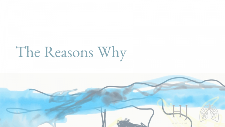 the-reasons-why-main-banner-1080×675.png